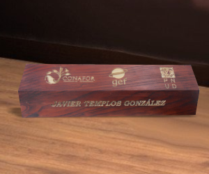 Personificador. Grabado en madera